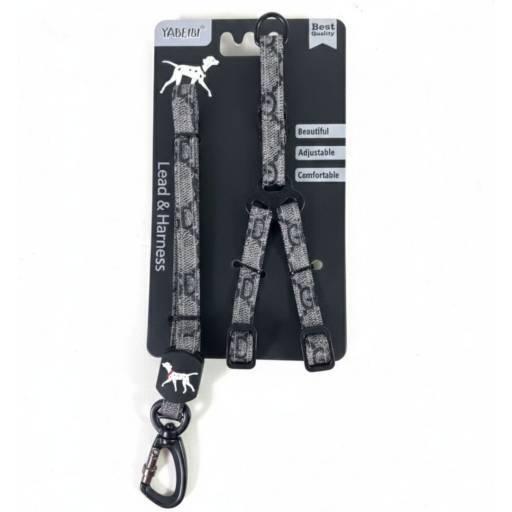 Conjunto de arnés y correa para perros M